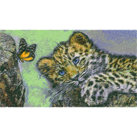 European Shorthair Animals