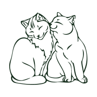 European Shorthair Animals