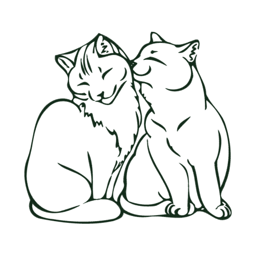 European Shorthair Animals European Shorthair Animals