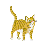 European Shorthair Animals