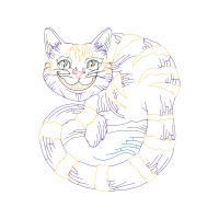 European Shorthair Animals European Shorthair Animals