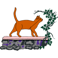 European Shorthair Animals