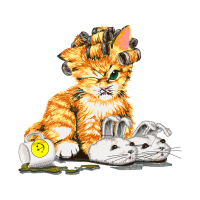 European Shorthair Animals