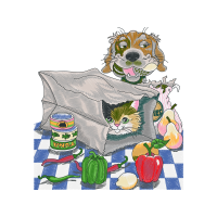 European Shorthair Animals