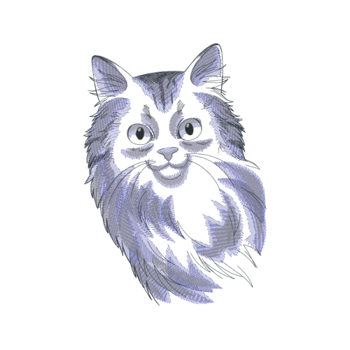 European Shorthair Animals European Shorthair Animals