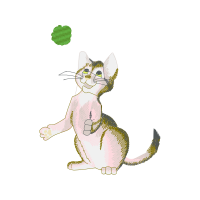 European Shorthair Animals