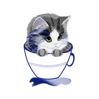 European Shorthair Animals