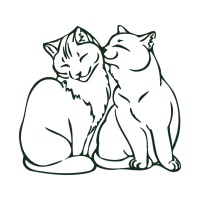 European Shorthair Animals