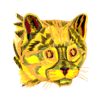 European Shorthair Animals