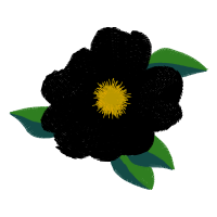 Evergreen Rose Animals Evergreen Rose Animals