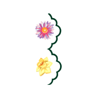 Evergreen Rose Animals Evergreen Rose Animals