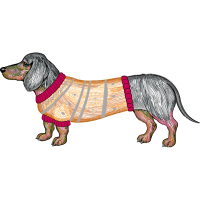 Field Spaniel Animals Field Spaniel Animals