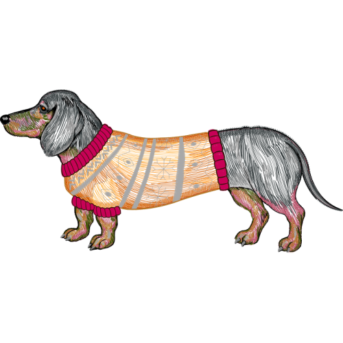 Field Spaniel Animals Field Spaniel Animals