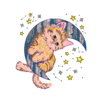 Fish Animals Fish Animals