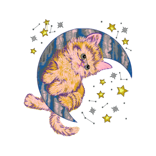 Fish Animals Fish Animals