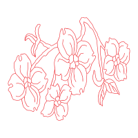 Flower Animals Flower Animals