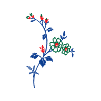 Flower Animals Flower Animals