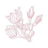 Flower Animals Flower Animals