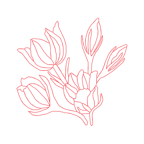 Flower Animals Flower Animals