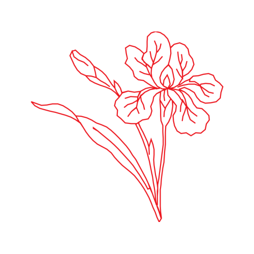 Flower Animals Flower Animals