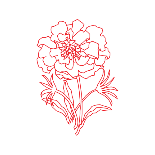 Flower Animals Flower Animals