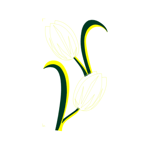 Flower Animals Flower Animals