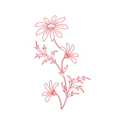 Flower Animals Flower Animals