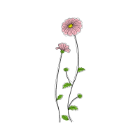 Flower Animals Flower Animals