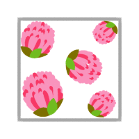 Flower Animals Flower Animals