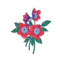 Flower Animals Flower Animals