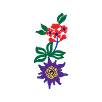 Flower Animals Flower Animals