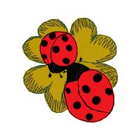 Flower Animals Flower Animals