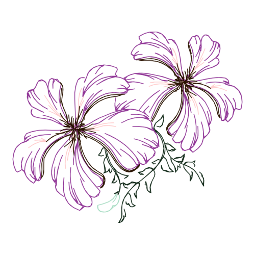 Flower Animals Flower Animals