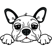 French Bulldog Animals