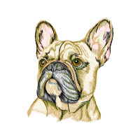 French Bulldog Animals