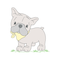 French Bulldog Animals French Bulldog Animals