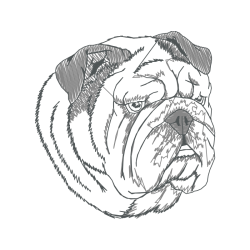 Garden Roses Animals Garden Roses Animals