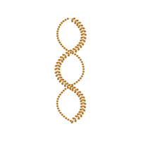 Geographical Indication Animals