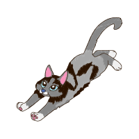 German Shepherd Animals