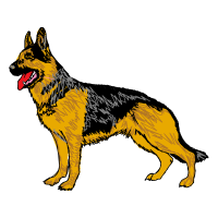 German Shepherd Animals