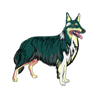 German Shepherd Animals