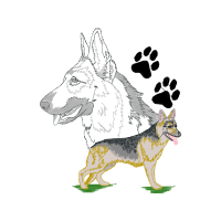 German Shepherd Animals