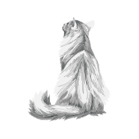 German Shepherd Animals