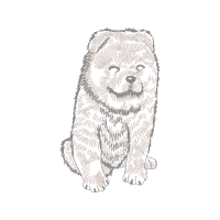 German Spitz Animals