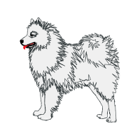German Spitz Animals German Spitz Animals