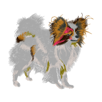 German Spitz Animals