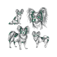 German Spitz Animals