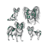 German Spitz Animals