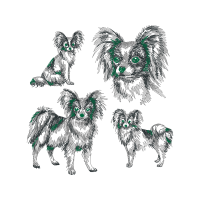 German Spitz Animals