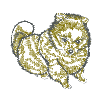 German Spitz Animals German Spitz Animals